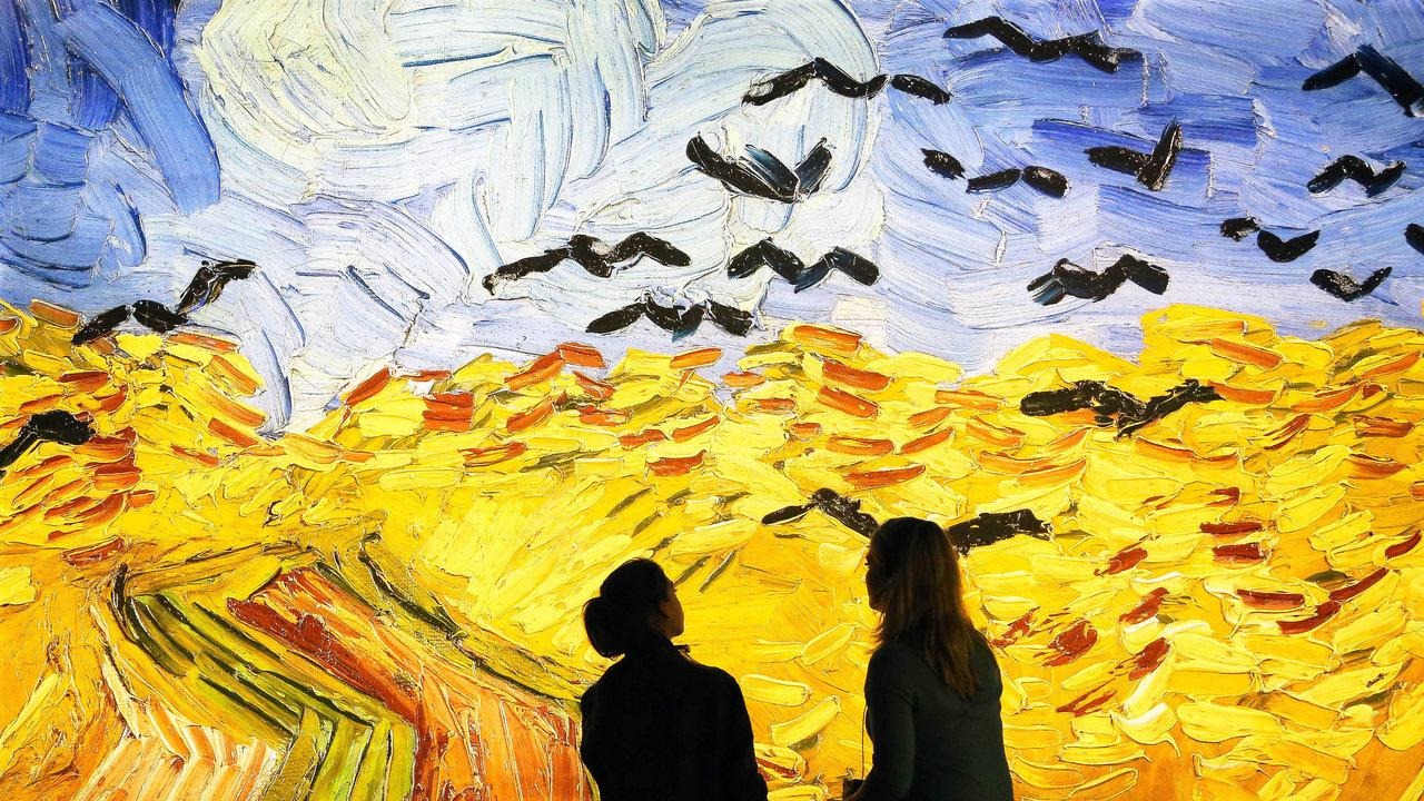 Meet Vincent van Gogh Experience Travels to South America for the First  Time - Van Gogh Museum